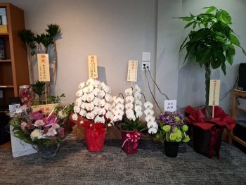 5月26日　事務所オープンいたしました！